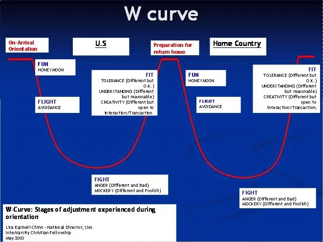 Culture Shock Curve