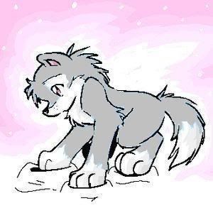 Grey Wolf Pup Photo by chocolate_anime_artist | Photobucket