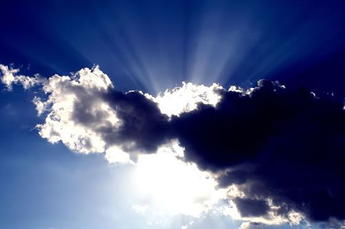 sunshine! :) Pictures, Images and Photos