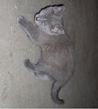 IMG_1663.jpg image by Kesoukup