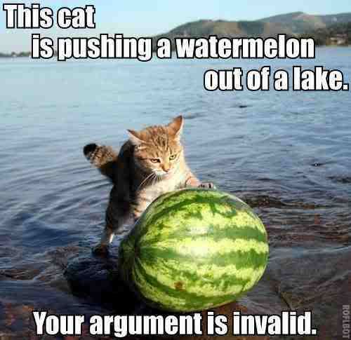 catwatermelon.jpg