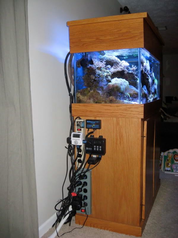 IMG 2735 - Tom@HaslettMI - 50 gallon mixed reef