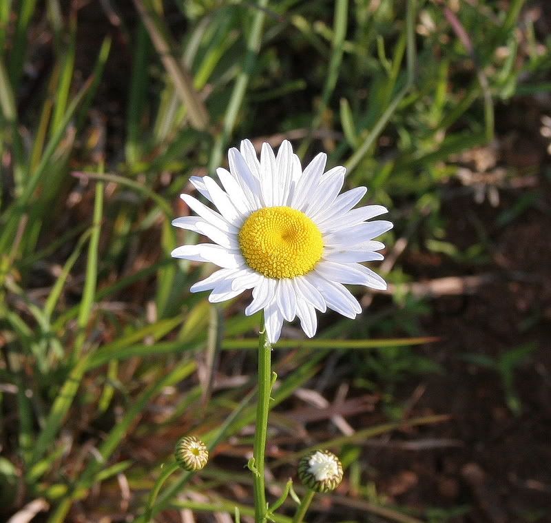 IMAGE: http://i137.photobucket.com/albums/q234/tubbed440/Random035_e.jpg