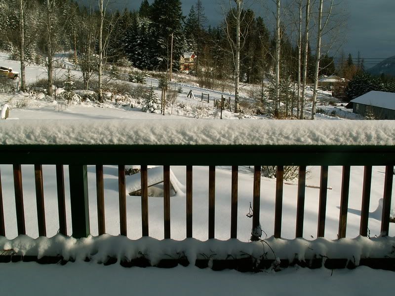 PICT3578.jpg