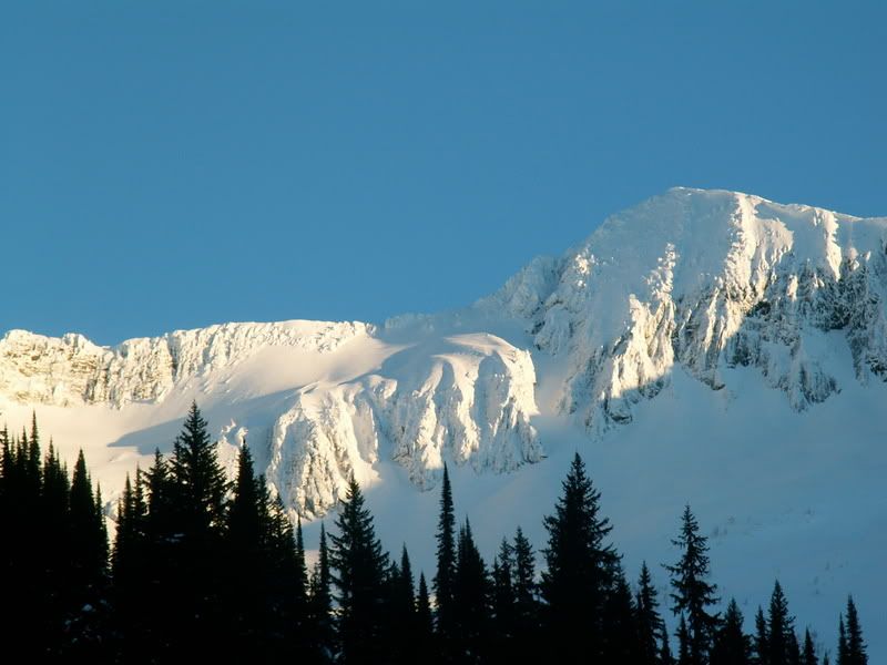 PICT3634.jpg