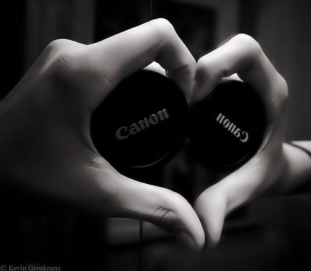 IMAGE: http://i137.photobucket.com/albums/q236/j3rseyskater/canonheartplain_filtered.jpg