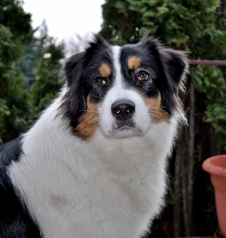 DSC_0012.jpg