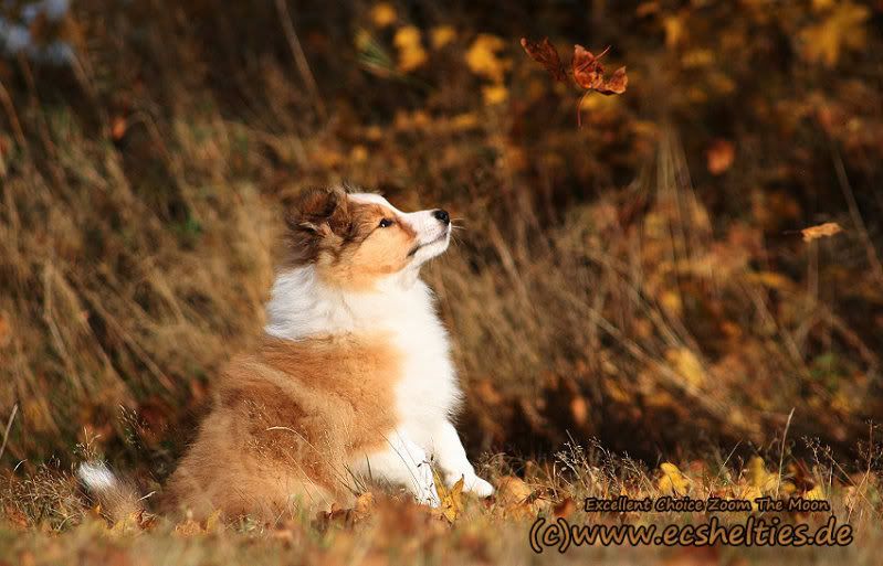 Herbst.jpg