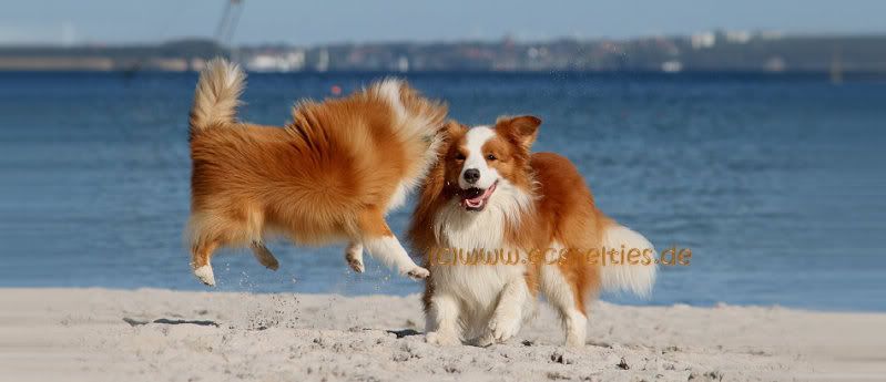 StartseiteStrand_neu.jpg