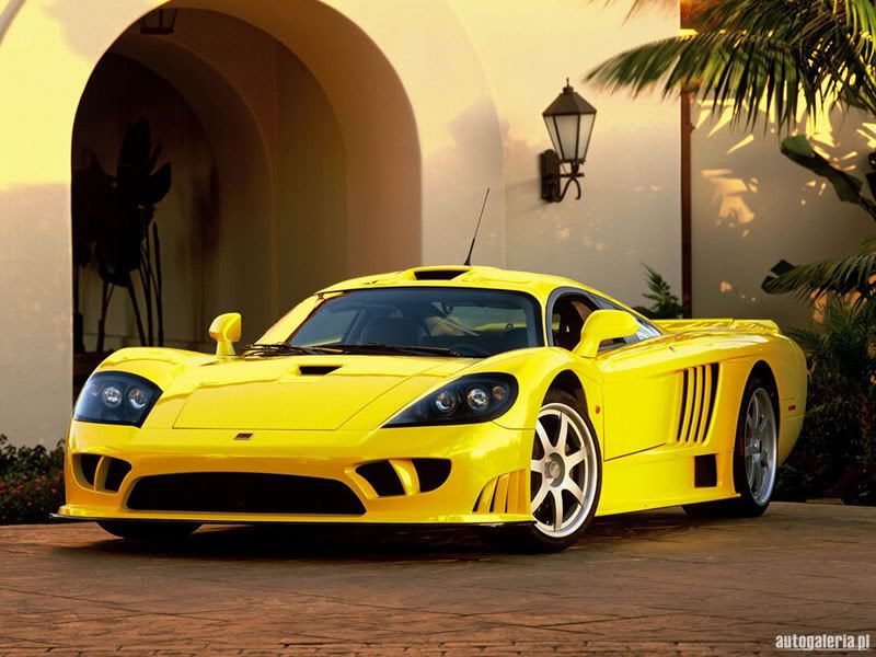 saleen_s7_2003_03_s.jpg