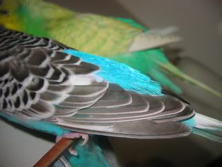 IMG_0043-2.jpg