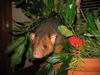 IMG_0088-2.jpg