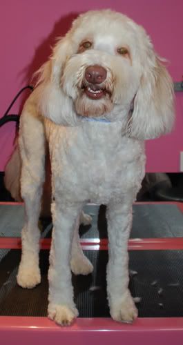 bailey.jpg