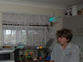 birds113.jpg