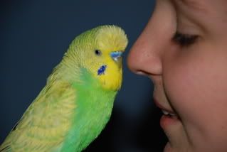 nikon130.jpg