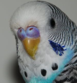 p2.jpg