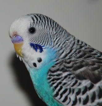 p3.jpg
