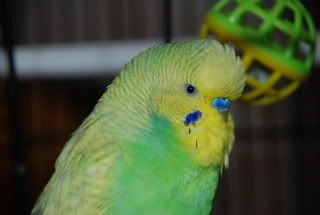 DSC_0012.jpg