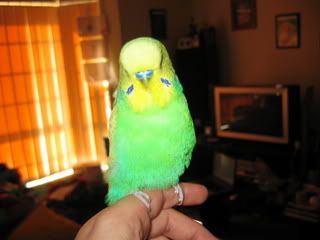 IMG_0006-1.jpg