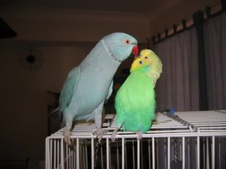 IMG_0018-1.jpg