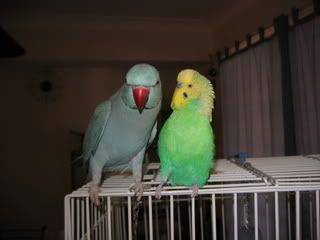 IMG_0019-1.jpg