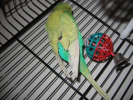 IMG_0070.jpg