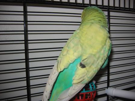 IMG_0073.jpg