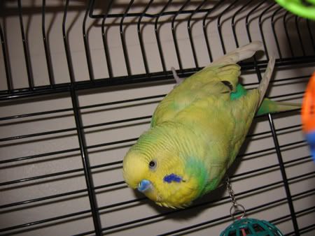 IMG_0077.jpg