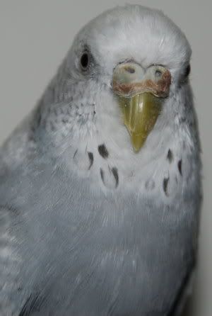 r1.jpg