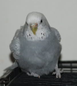 r2.jpg
