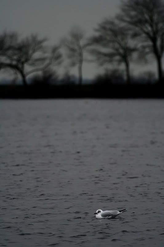Fotografie