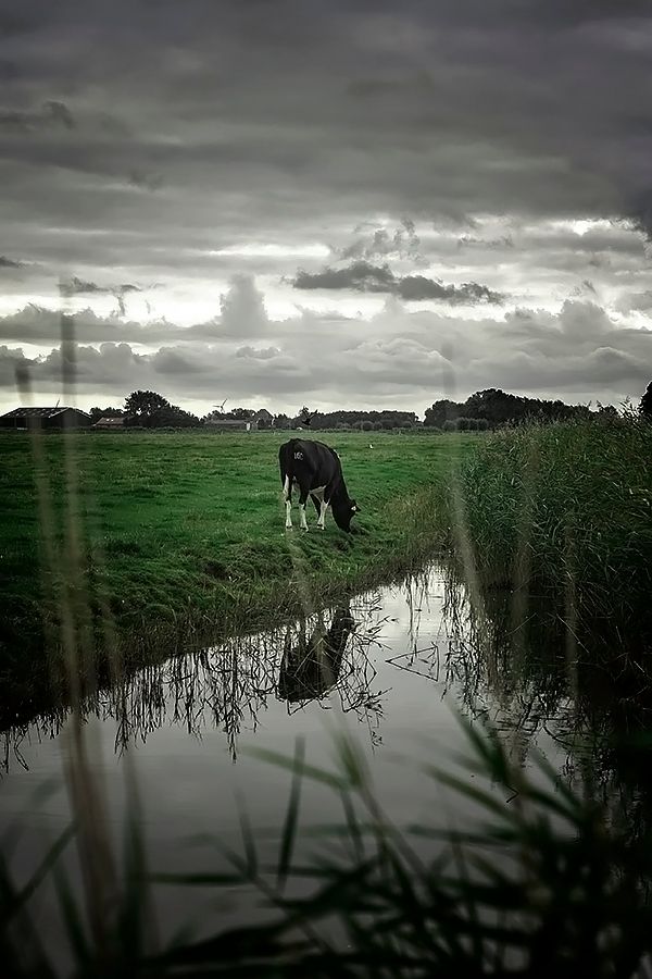 Fotografie