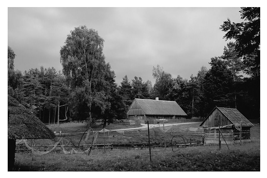 Fotografie