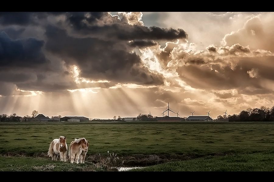 Fotografie