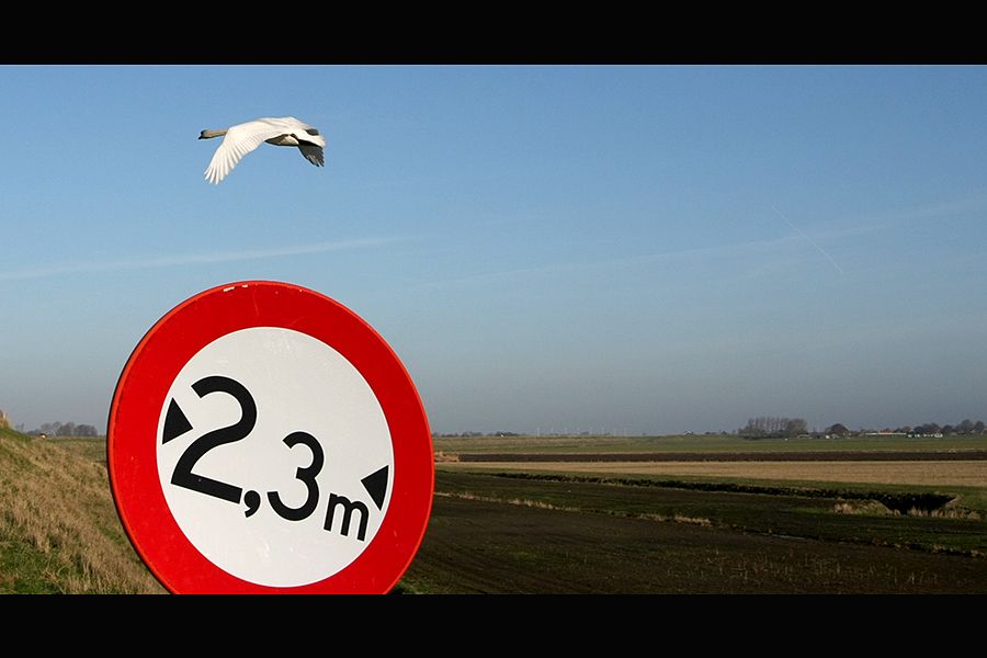 Fotografie
