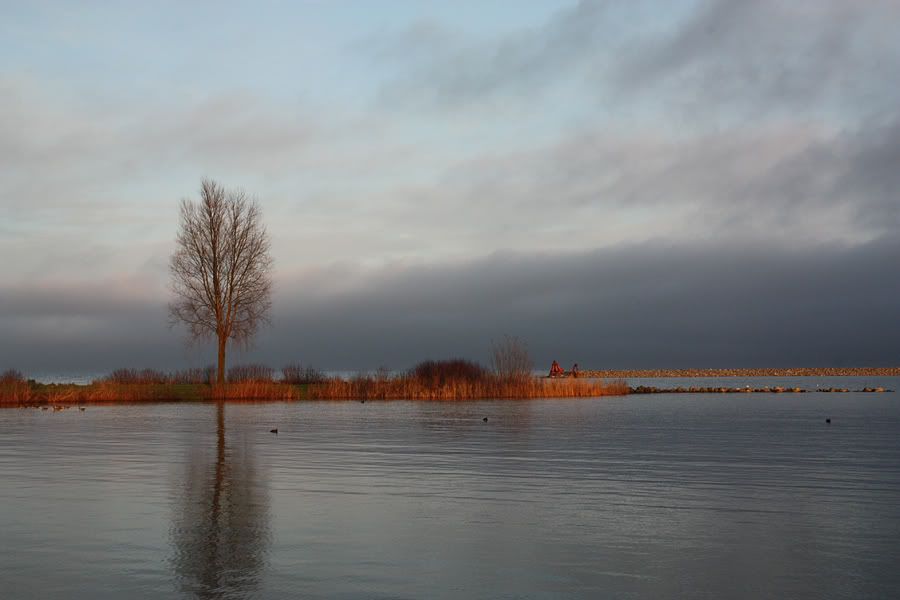 Fotografie