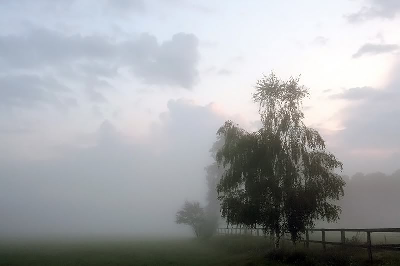 Fotografie