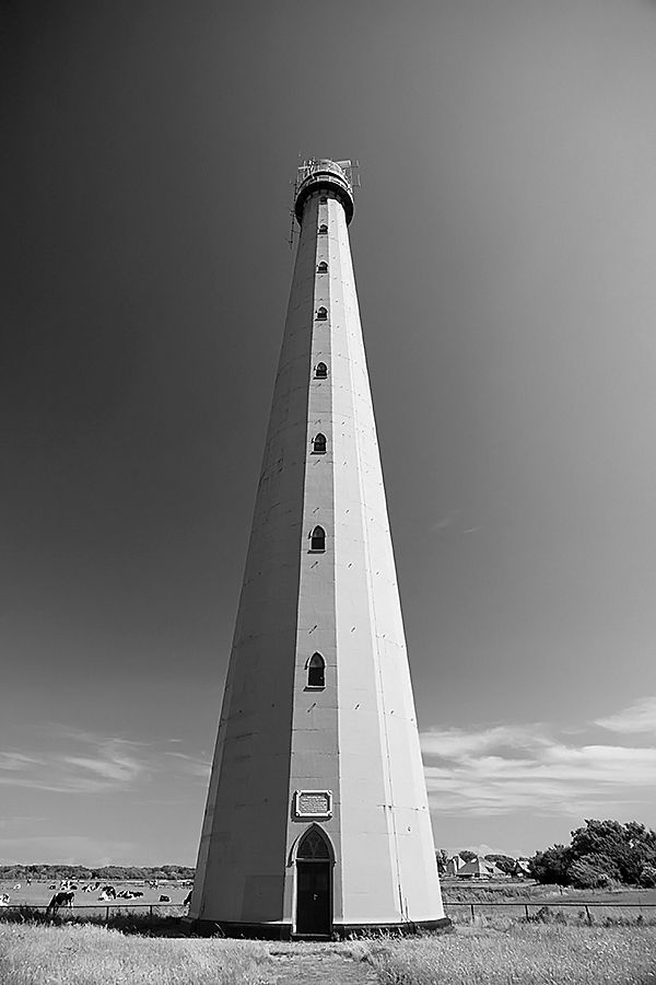 Fotografie