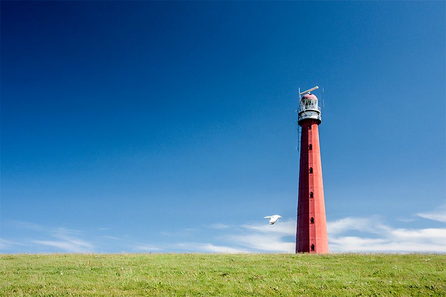 Fotografie