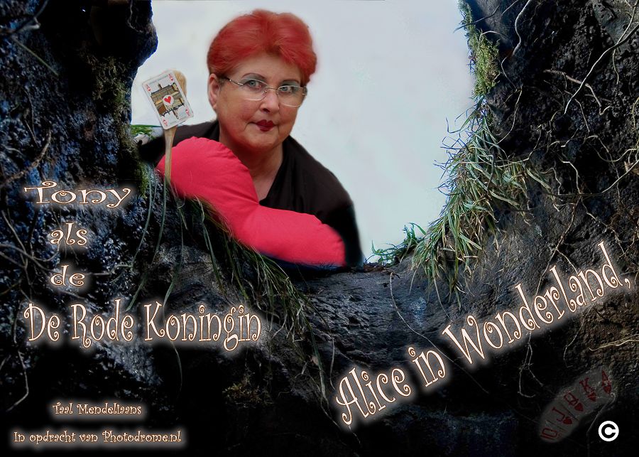 Fotografie