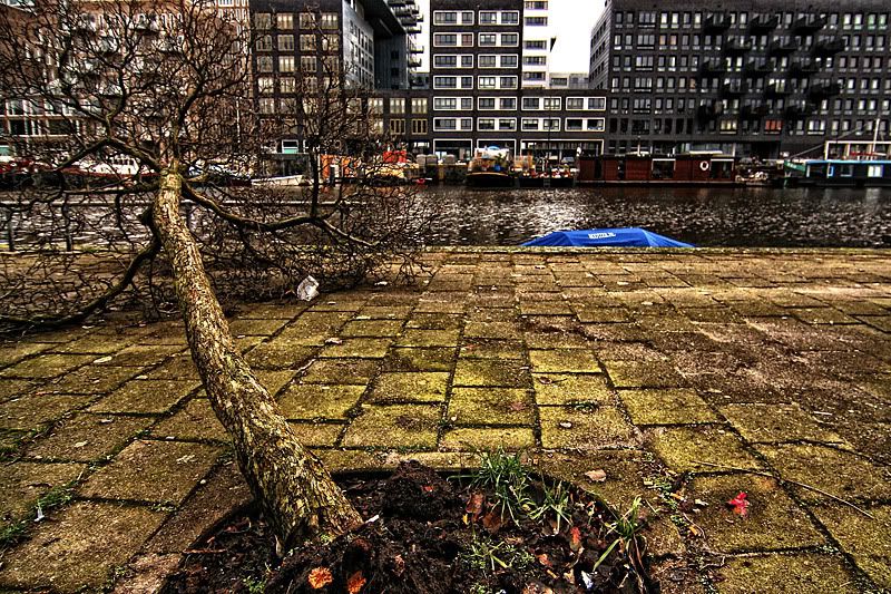 Fotografie