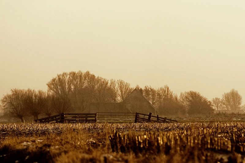 Fotografie
