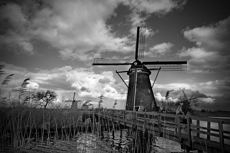 Fotografie