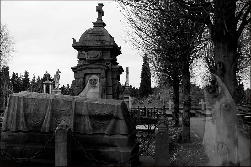 Fotografie
