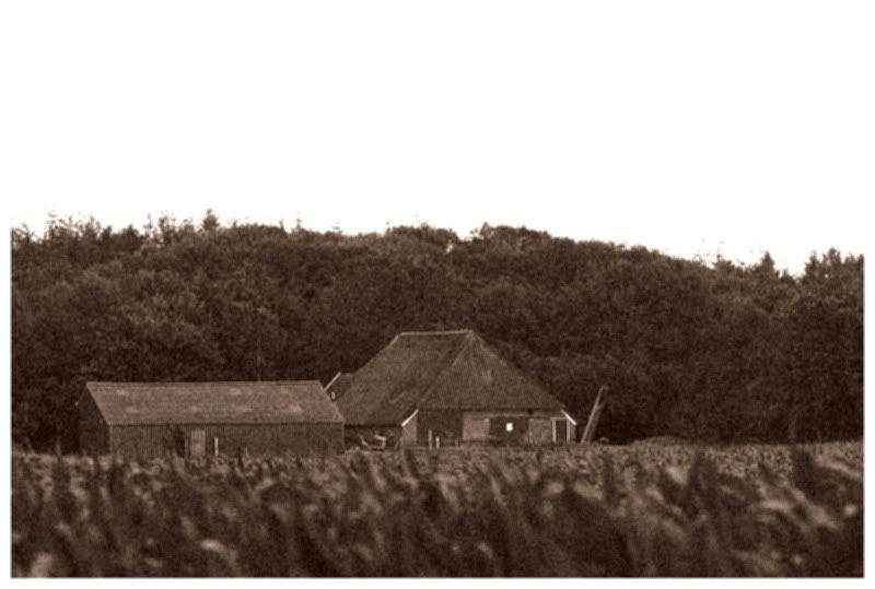 Fotografie