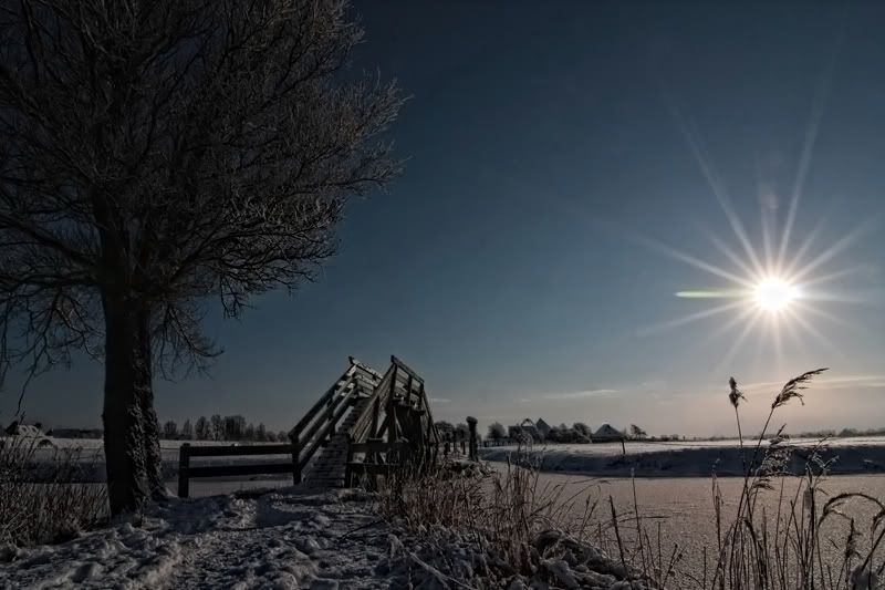 Fotografie