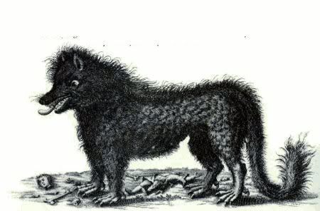 bichejo.jpg