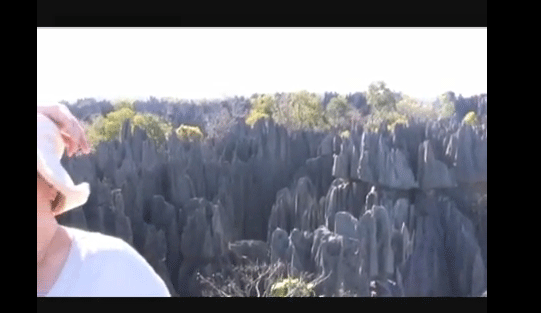 picos2.gif