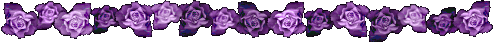 purple rose bar