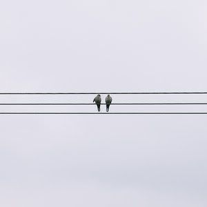 https://i137.photobucket.com/albums/q235/kietasvaikis/Converse_by_Tadobi.jpg